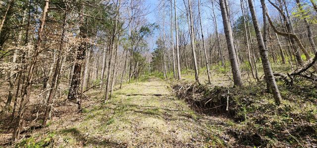 950 Chapman Hollow Rd, Dowelltown, TN 37059