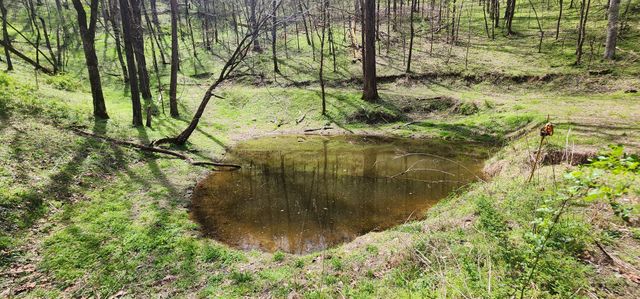 950 Chapman Hollow Rd, Dowelltown, TN 37059