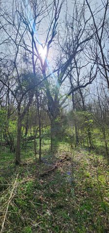 950 Chapman Hollow Rd, Dowelltown, TN 37059