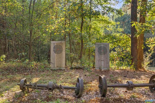 1590 Horton Road, Horton, AL 35980