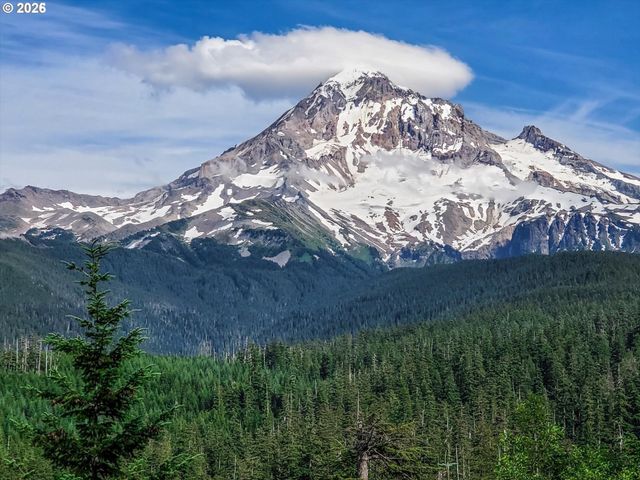 24600 E BRIGHT Ave, Welches, OR 97067