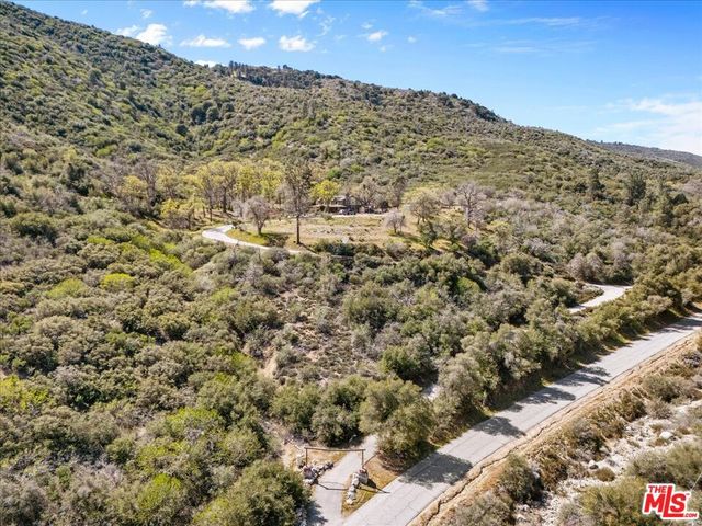 28200 Pine Canyon Road, Lake Hughes, CA 93532