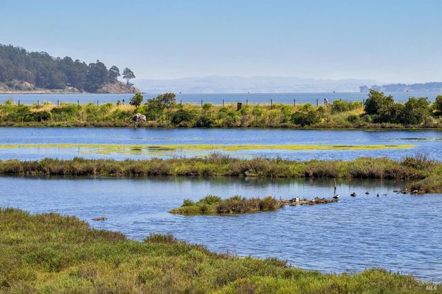 255 Baypoint Dr, San Rafael, CA 94901