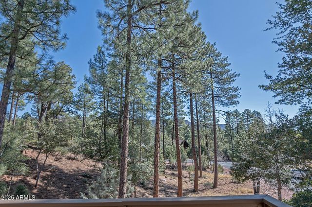 4037 W Sage Court, Pine, AZ 85544
