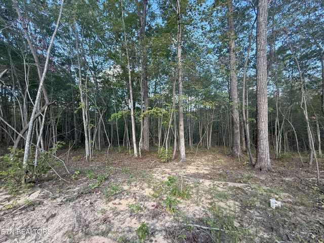 349 Annabelle Way, Jamestown, TN 38556