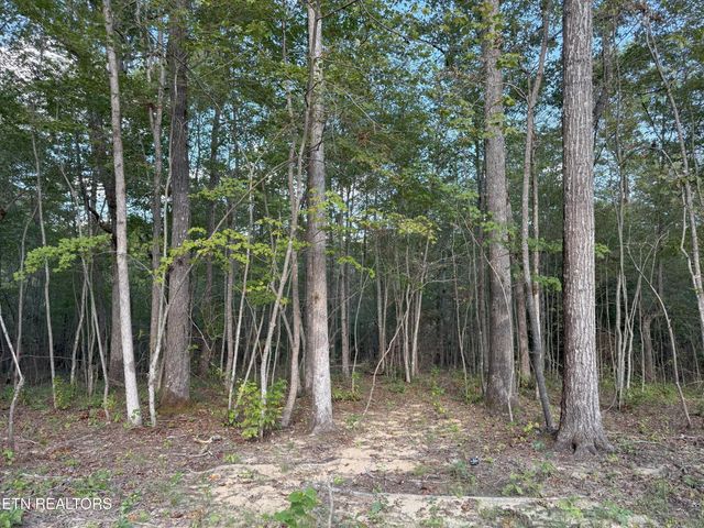 349 Annabelle Way, Jamestown, TN 38556