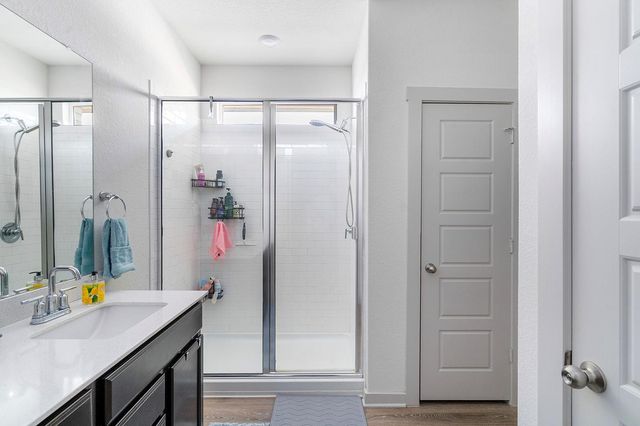 14108 Sage Blossom DR, Manor, TX 78653