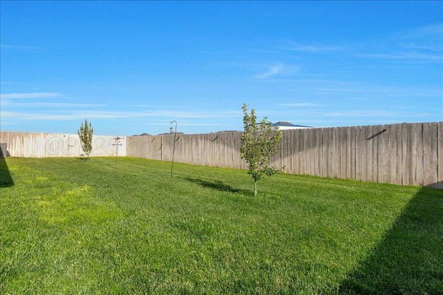 10051 COCKLEBUR Lane, Amarillo, TX 79119