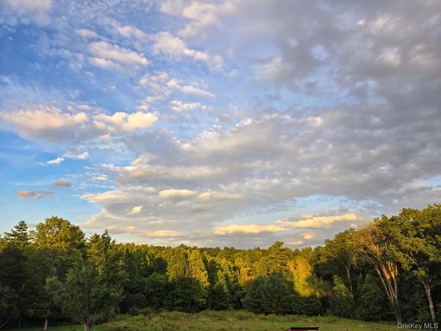 8250 Route 32, Cairo, NY 12413