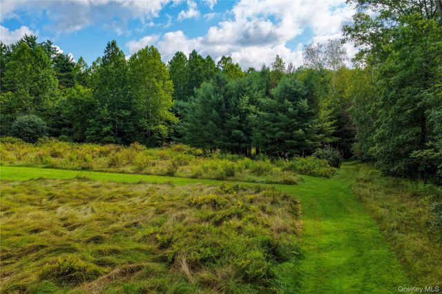 8250 Route 32, Cairo, NY 12413