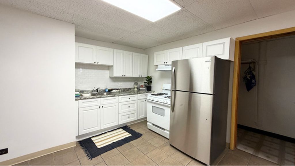 3252-56 S Wallace Street, Chicago, IL 60616 — photo 4