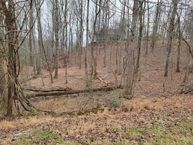 23 Laurel Lake Drive, Monteagle, TN 37356