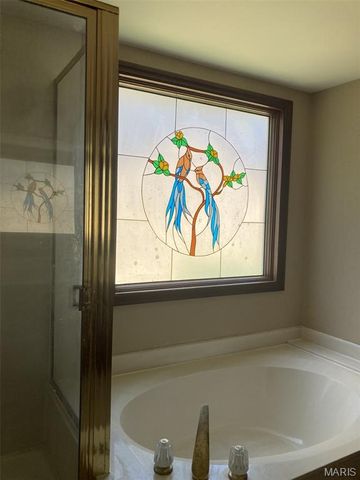 471 Saint Thomas Isle Lane, Wildwood, MO 63040