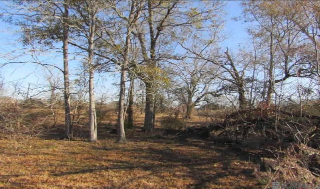 37160 Miller Rd, Prairieville, LA 70769