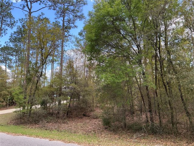 SW 208TH CIRCLE, Dunnellon, FL 34431