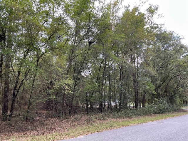 SW 208TH CIRCLE, Dunnellon, FL 34431