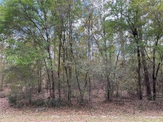 SW 208TH CIRCLE, Dunnellon, FL 34431