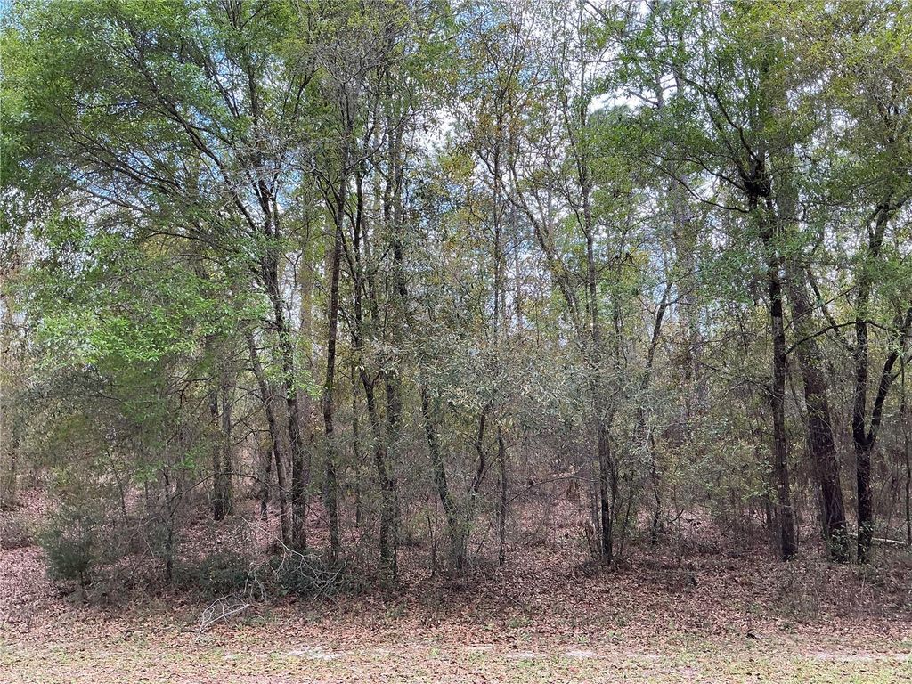 SW 208TH CIRCLE, Dunnellon, FL 34431