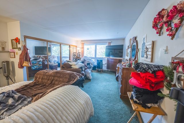 170 & 158 Dalson Road, Eidson, TN 37731