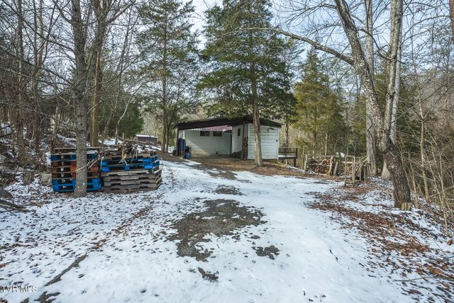 170 & 158 Dalson Road, Eidson, TN 37731