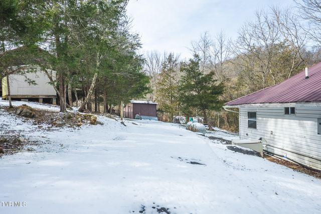 170 & 158 Dalson Road, Eidson, TN 37731