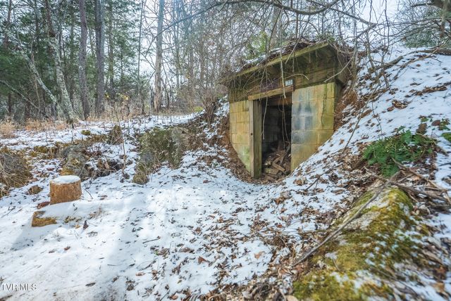 170 & 158 Dalson Road, Eidson, TN 37731