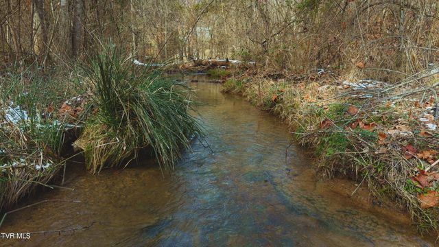 170 & 158 Dalson Road, Eidson, TN 37731