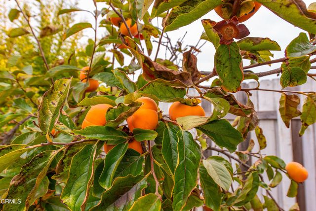 627 Evergreen Avenue, Thousand Oaks, CA 91320