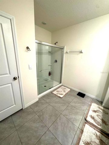 10570 PENNY GALE LOOP, San Antonio, FL 33576