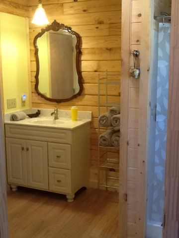161 Greenwood LN, Copper Hill, VA 24079