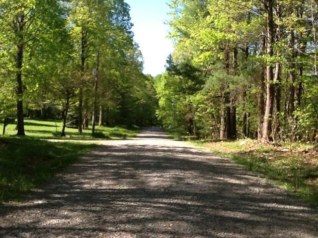 161 Greenwood LN, Copper Hill, VA 24079