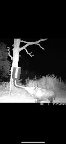 8737 E FM 1567, Sulphur Springs, TX 75482