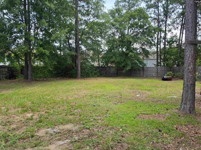 107 Sandy Path Lane, Lexington, SC 29073