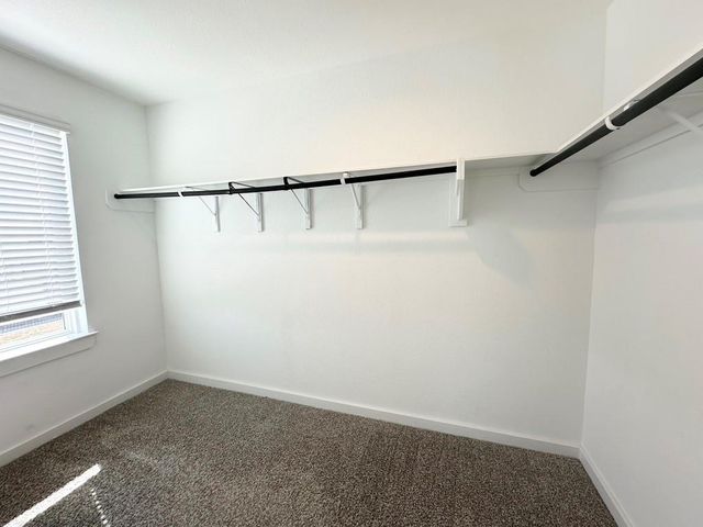 22610 Palermo Rim Ln Lane, Katy, TX 77449