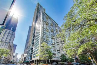 1000 N Lake Shore Drive 804, Chicago, IL 60611