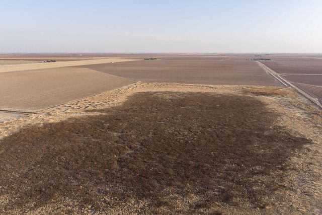 19706 County Road 3100, Slaton, TX 79364