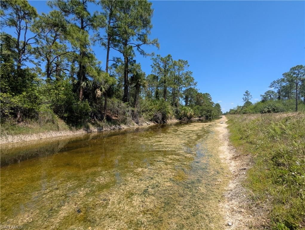 1009 Butler ST E, LEHIGH ACRES, FL 33974 — photo 4