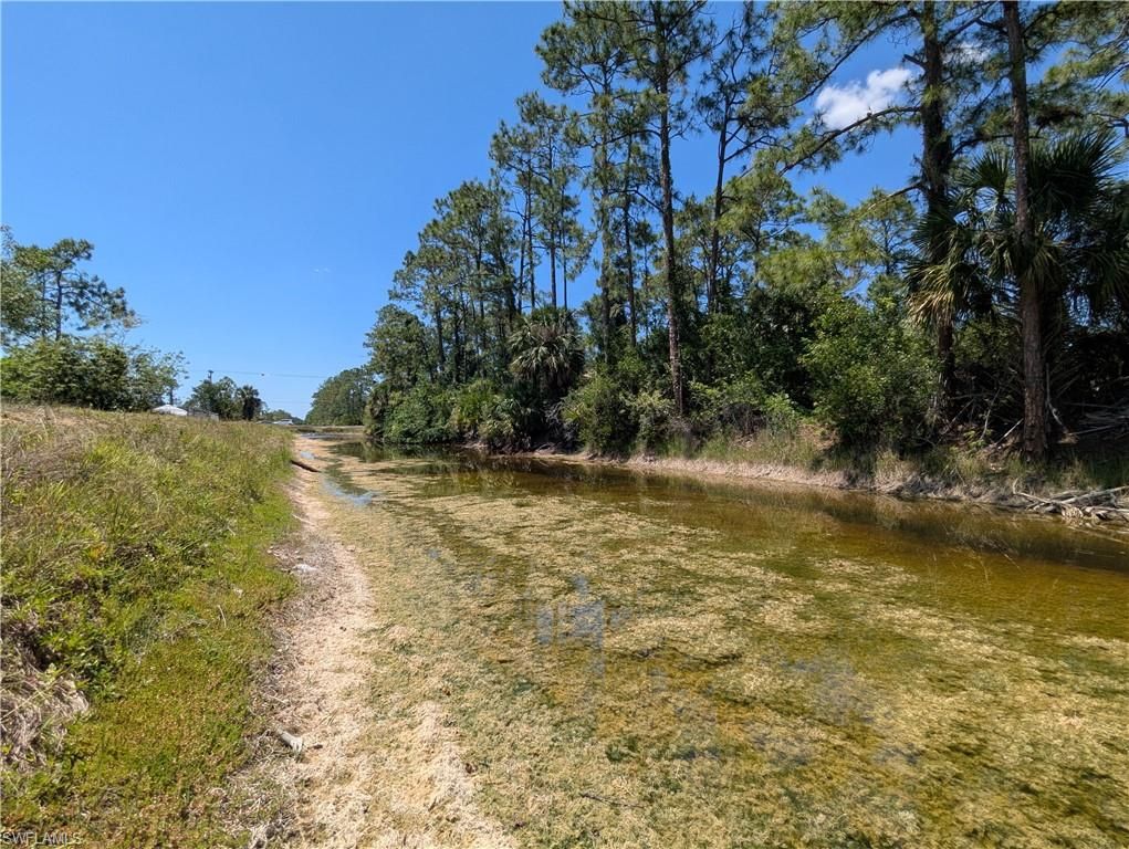 1009 Butler ST E, LEHIGH ACRES, FL 33974 — photo 5