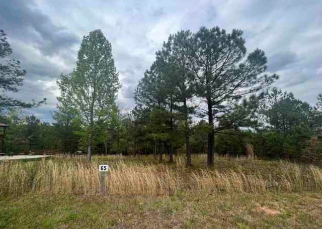 0 Village Loop, Blairsville, GA 30512