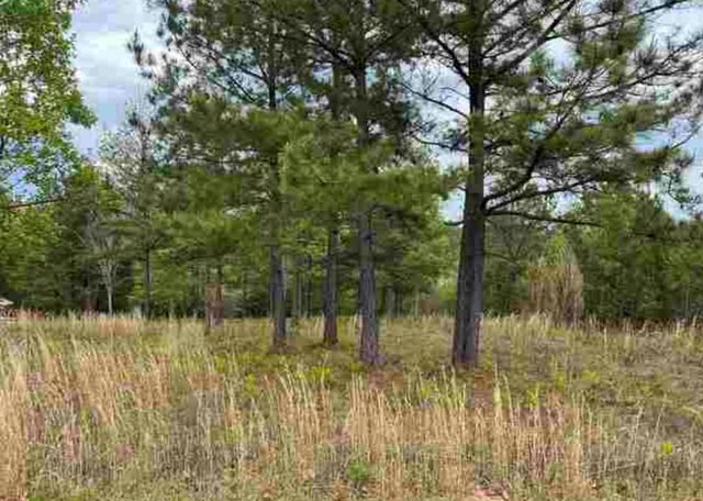 0 Village Loop, Blairsville, GA 30512