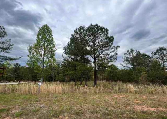 0 Village Loop, Blairsville, GA 30512