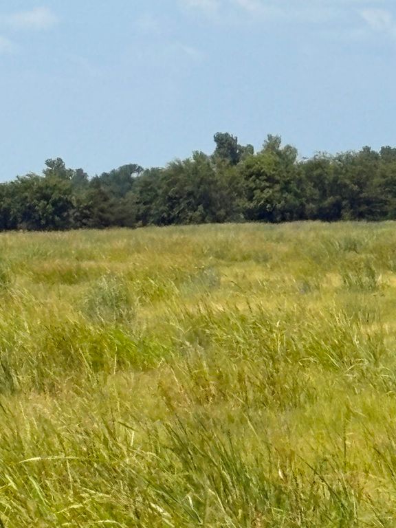 TBD County Road 3020, Bonham, TX 75418