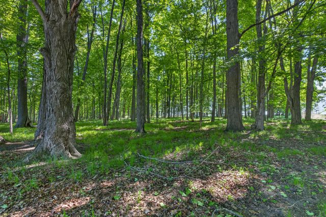 5595 75th Avenue, Hinton Twp, MI 49332