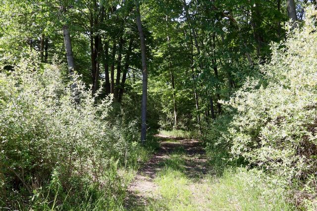 5595 75th Avenue, Hinton Twp, MI 49332
