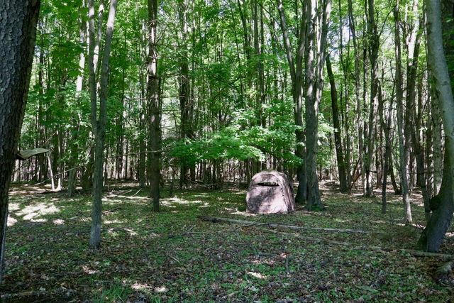 5595 75th Avenue, Hinton Twp, MI 49332