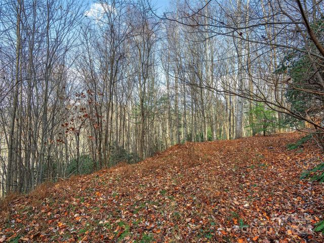 000 Indian Cave Park Road, Hendersonville, NC 28739