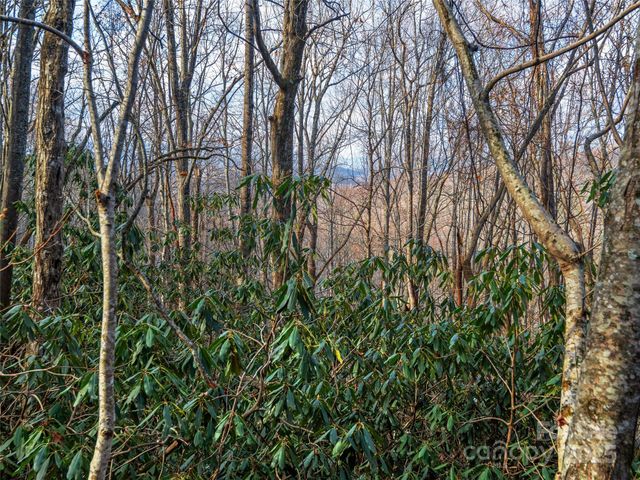 000 Indian Cave Park Road, Hendersonville, NC 28739