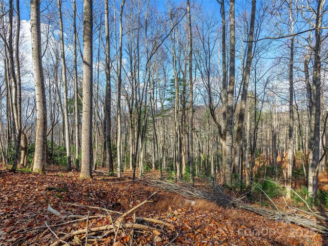 000 Indian Cave Park Road, Hendersonville, NC 28739