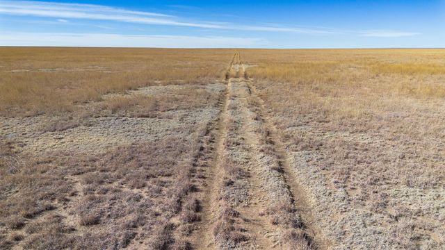 High Lonesome Ranch ±687ac, Dalhart, TX 79022