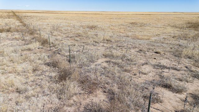 High Lonesome Ranch ±687ac, Dalhart, TX 79022